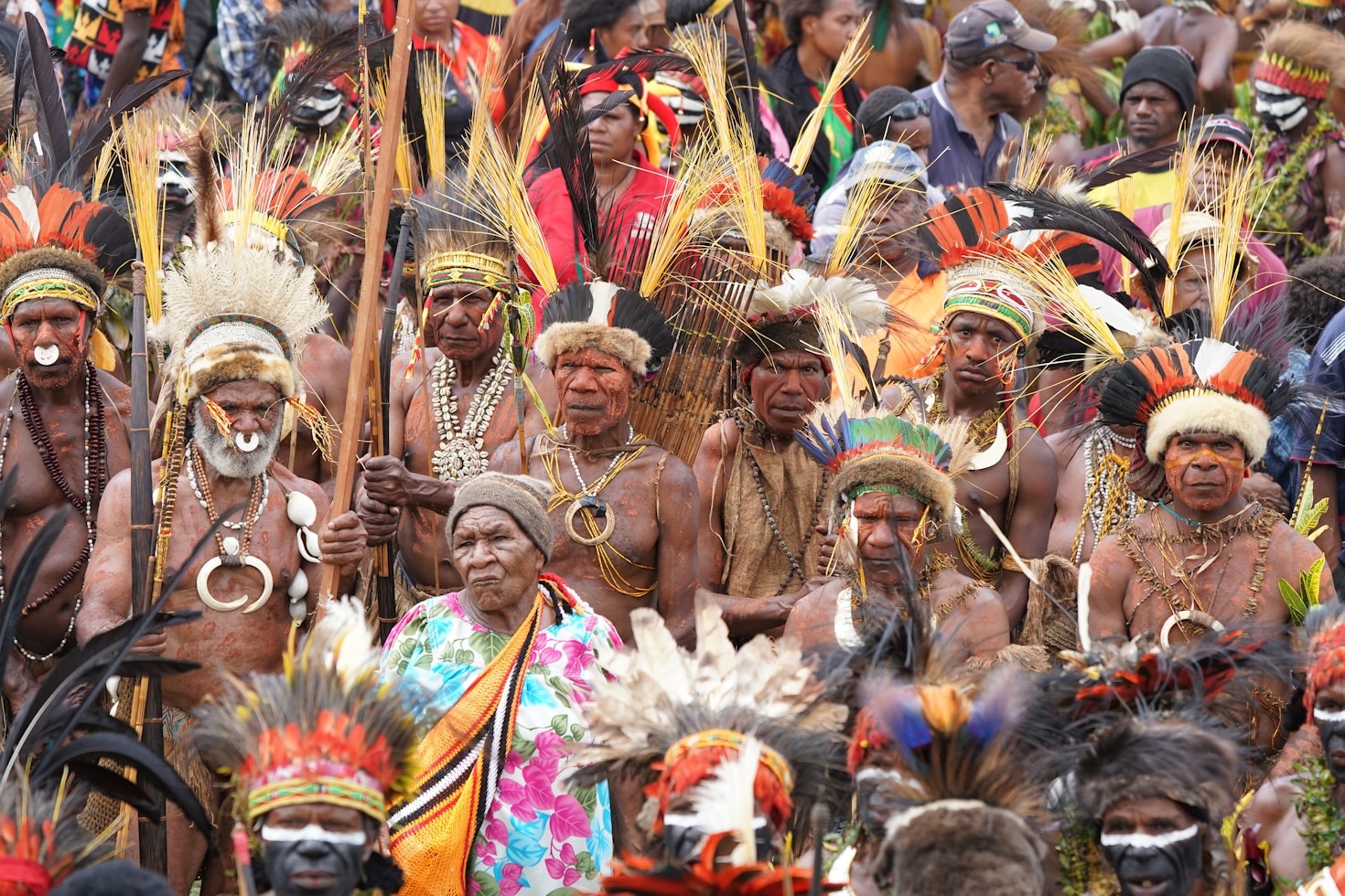 Stories of African Excellence in Modern Society